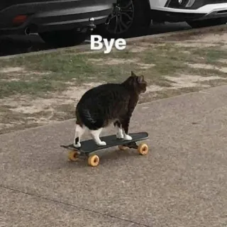 👋 4425fd25 Bye gatto, skateboard, animale, animale domestico, meme, divertente, ciao whatsapp sticker