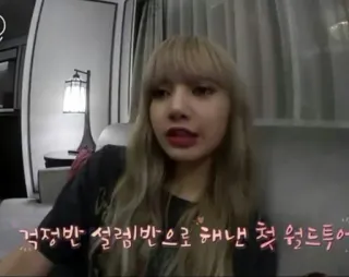 🌸 950f9749 걱정반 설렘반으로 해낸 첫 월드투어 woman, person, blonde hair, indoor, portrait telegram sticker