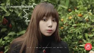 🌸 acbe0f29 telegram sticker