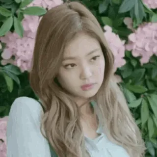 🌸 e96bcf11 telegram sticker