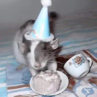 Мышки @I_love_pivoo :: @fStikBot telegram stickers