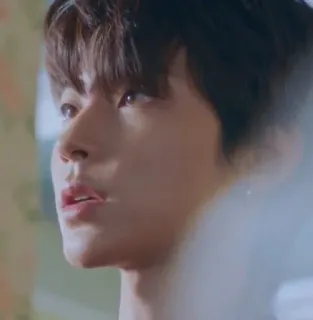 🤭 04db6d76 男性, 人, ポートレート, 顔, クローズアップ telegram sticker