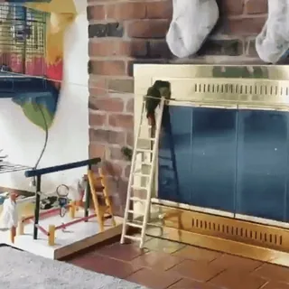 Rita's gif @aliSavings telegram stickers