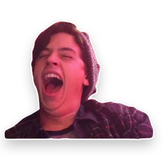 😄 2c822f5b telegram sticker