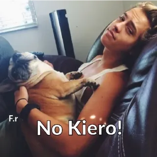 😢 af69108b No Kiero! 개, 애완동물, 동물, 프렌치 불독, 여유, 휴식 telegram sticker