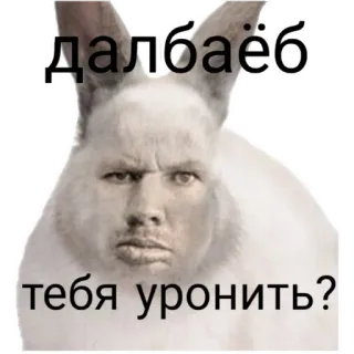 🤬 988efd68 далбаёб
тебя уронить? Hase, Meme, Beleidigend, Russisch, Tier, Lustig, Beleidigung whatsapp sticker