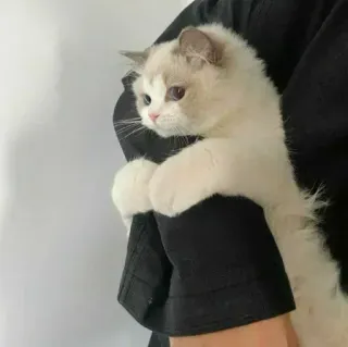 Больше стиков тут: @stikery4 telegram stickers