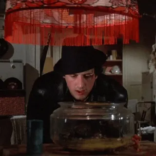 🥀 226b09bb Rocky Balboa Rocky film, boksen, vechter, italiaanse hengst, vissenkom, sylvester stallone telegram sticker