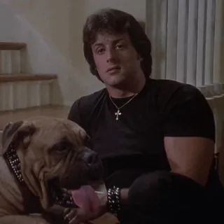🥀 ba6ff999 Rocky Balboa Rocky hond, Sylvester Stallone, acteur, film, huisdier telegram sticker