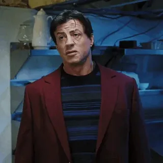 🥀 cce24b70 Sylvester Stallone acteur, man, beroemdheid, stallone, sylvester telegram sticker