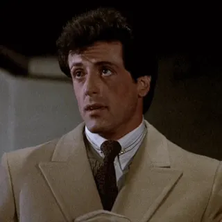 🌑 cd250a02 Sylvester Stallone acteur, Stallone, man, film telegram sticker