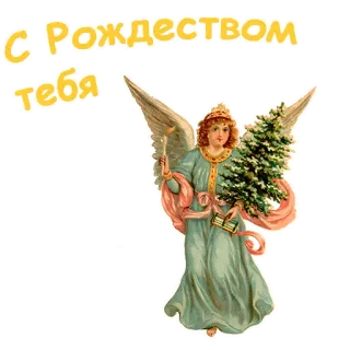 🎄 d579f377 С Рождеством тебя 크리스마스, 천사, 휴일, 인사, 나무, 축하 telegram sticker