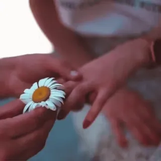 @Gifs_Gallery ʀᴏᴍᴀɴᴛɪᴄ ᴘᴀᴄᴋ 🐣💖 :: @fStikBot whatsapp stickers