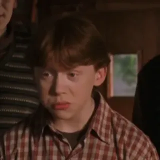 🦁 36c343ac Ron Weasley Harry Potter harry potter, ron weasley, zauberer, magie telegram sticker