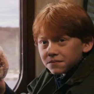 🦁 aa8d0bf2 Ron Weasley Harry Potter Ron Weasley, Harry Potter, Zauberer, Freund telegram sticker