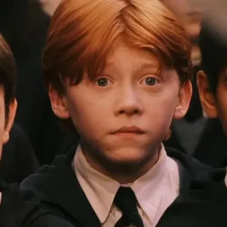 🦁 d94046d9 Ron Weasley Harry Potter Ron Weasley, Harry Potter, Zauberer, Schüler, rote Haare, Magie telegram sticker