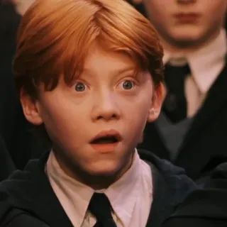 🦁 f30eff1f Ron Weasley Harry Potter Ron Weasley, Harry Potter, Rupert Grint, Zauberer, Junge, Schüler telegram sticker