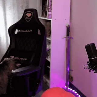 🤷‍♀️ 7d506763 telegram sticker