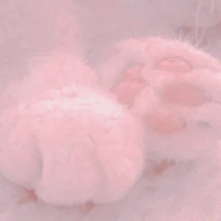 ༒︎𝐑𝐨𝐬𝐚𝐥𝐢𝐧 | @RosalinQueenofBogey telegram stickers