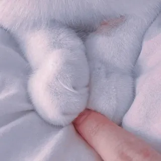 🍥 496aeab4 kot, łapy, słodki, zwierzę domowe, zwierzę, biały, palec, poduszeczki whatsapp sticker