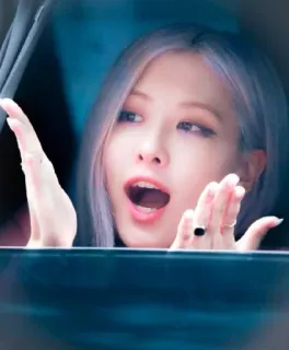 🌸 0b971019 telegram sticker