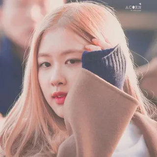 🌸 36e64652 Rose kpop, penyanyi, rose, blackpink, musik telegram sticker