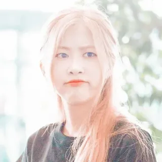 🌸 f96d4e4c potret, gadis, wanita, orang, wajah telegram sticker