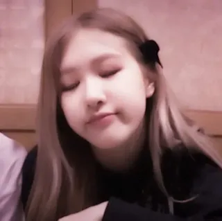 🌸 13dc269b telegram sticker