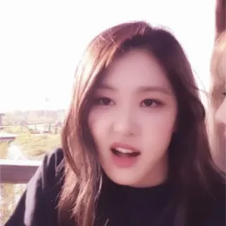 🌸 19702871 telegram sticker