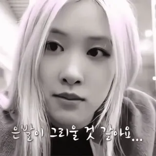 🎂 d91f615b 은발이 그리울 것 같아요... 인물사진, K팝, 사람, 여자, 금발 telegram sticker