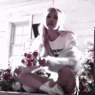 🏩 3d4b6c1e whatsapp sticker