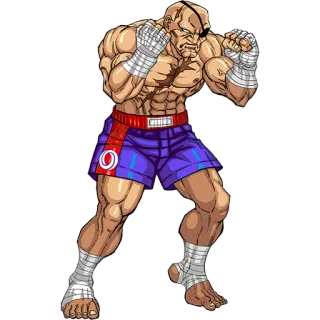 🙃 ab8b1941 Sagat Street Fighter วิดีโอเกม, เกมต่อสู้, สกัด, สตรีทไฟเตอร์, ศิลปะการต่อสู้, ตัวละคร whatsapp sticker