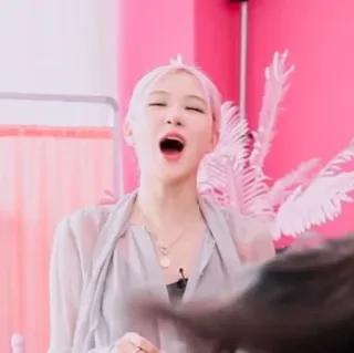 🌷 a649067c Rose 로제, 블랙핑크, 가수, 아이돌, 여성 telegram sticker