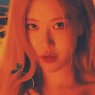 🌹 490cf319 wanita, potret, orang, kpop, penyanyi, mawar, wajah, kecantikan telegram sticker