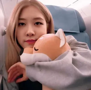 🌹 bec031fa telegram sticker