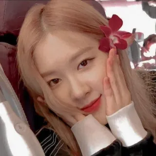 🙂 6eafaa15 Rose rose, blackpink, singer, kpop, celebrity, person, woman telegram sticker