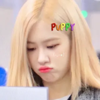 🙂 8411847f PUPPY puppy, dog, animal, cute, pet, cartoon telegram sticker