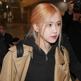 🐰 2f10645a Rosé cantor, kpop, idol, moda, blackpink, celebridade telegram sticker