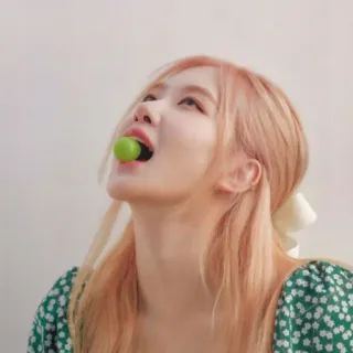 🐰 5c6d000a Rose K-pop, cantor, rosa, música telegram sticker