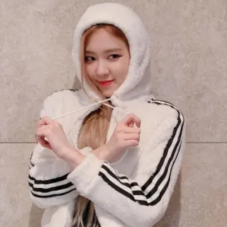 🐰 681bafd0 Rosé mulher, kpop, cantora, Rosé, Blackpink, celebridade telegram sticker