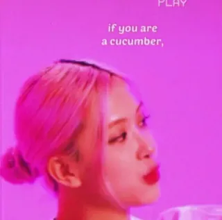 ✌ 6ba5e0f7 if you are
a cucumber, Gurke, rosa, Video, Text whatsapp sticker