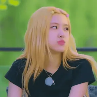 🪴 548198d2 Rose kpop, 歌手, rosé, blackpink, 偶像, 名人, 金发 telegram sticker