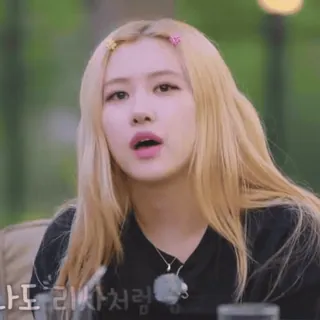 🪴 fc1782d1 나도 리사처럼 女人, 韩国, 玫瑰, 丽莎, 人, 金发, 金发, 肖像, 漂亮 telegram sticker