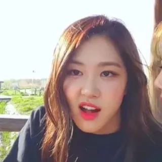 🌹 6d906705 whatsapp sticker