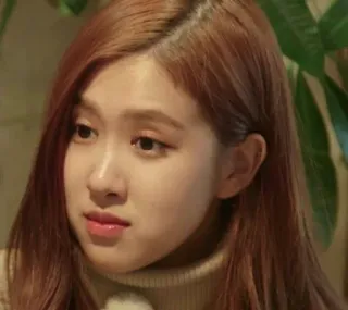 🌹 ae3f51fa whatsapp sticker