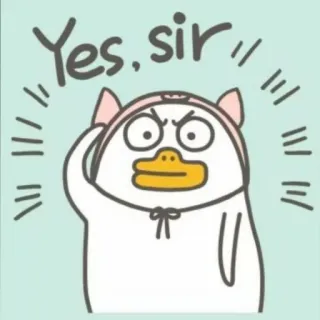 💨 59a117af Yes, sir Cartoon, Ente, Jawohl, Tier, Süß telegram sticker