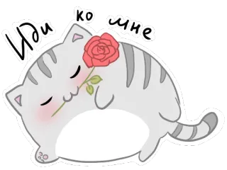 🌹 6755acdf Иди ко мне Katze, Rose, süß, Liebe, romantisch, Blume telegram sticker