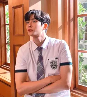 🙄 0115167d uniforme escolar, homem, janela, gravata, retrato whatsapp sticker