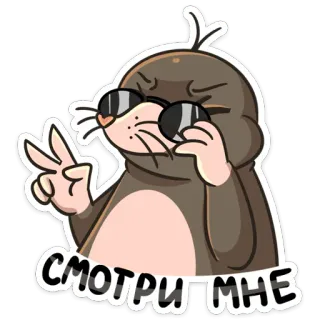 🤓 6749ea20 СМОТРИ МНЕ ตัวตุ่น, แว่นกันแดด, เท่, การ์ตูน, สัตว์, น่ารัก telegram sticker