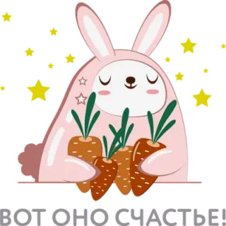 😌 1ccf0e43 Roxo To Race conejo, zanahoria, lindo, estrellas, kawaii whatsapp sticker